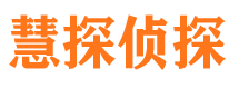 振兴市侦探公司